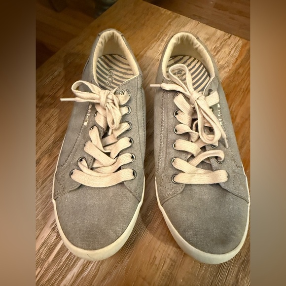 TAOS Casual Gray Canvas Star Sneakers Excellent Cond - Picture 1 of 8